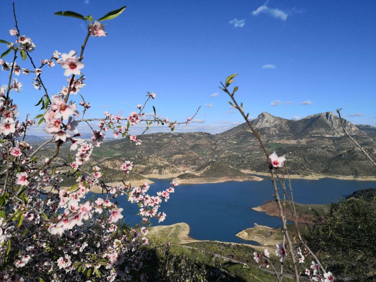 Mountain Paradise Hospedagem domiciliar